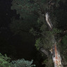 縄文杉とオリオン座