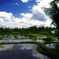 Rice Terrace