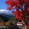 紅葉の丹沢湖畔より望む富士