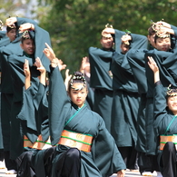 あっぱれ祭り（よさこい①）「凛々し」