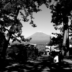 松林と富士山