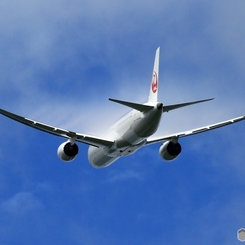 ☮JAL 787-8   ☮ベイパー