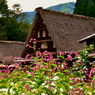 里山の秋