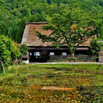 息づく日本の風景