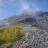 ていやぁ　ぷれぜんつ　【あなたの知らない富士山】２０