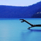 支笏湖で龍を見た