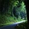 森への道