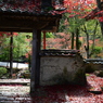 大本山永平寺御直末五鈷山光明寺