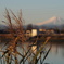 故郷で見た富士山