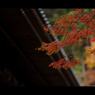 秋のぶらり京都　15