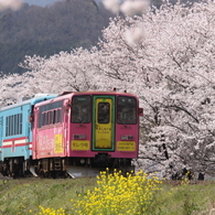 樽見鉄道木知原駅付近