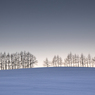 夕暮れの雪原