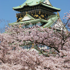 満開の大阪城