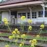 上総鶴舞駅