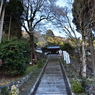 行基桜（酒波寺）