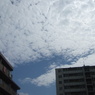 うろこ雲とマンション