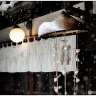 「みんな雪の中01」　小江戸川越散歩101