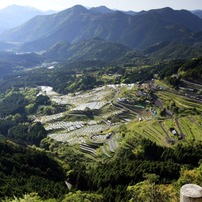 丸山千枚田