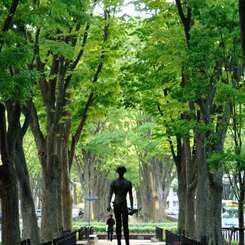 春の定禅寺通り