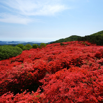 山一面燃える紅