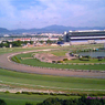 20150907_Kyoto racing course by drone