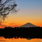 馴染みの夕景