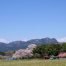 2010年桜の写真_18