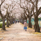 桜咲くその道は人生。