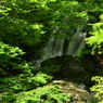 奈良県　魚止めの滝