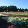 奈良県　馬見丘陵公園