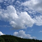 頑張る夏空