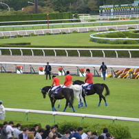 淀競馬場8