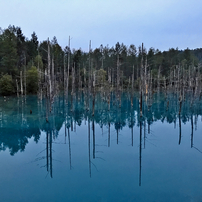 神秘の青い池