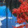 秋の自然湖