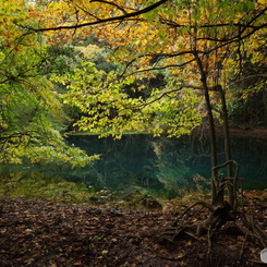 秋色の丸池様-1