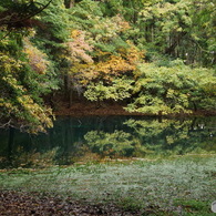 秋色の丸池様-4