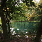 秋色の丸池様-6