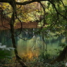 秋色の丸池様-7