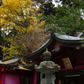 箱根神社～齋宮