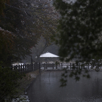 紅葉が盛りというのに初雪積もる、、、