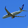  「青い空」ANA 737-800 フラワージェットJA85AN