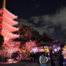 博多ライトアップウォーク2016　東長寺