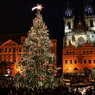 Christmas Market in Praha #3