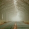 霧の中・樹影トンネル