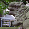狛犬_西久保八幡神社
