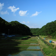 里山