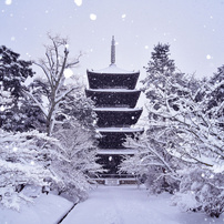 京都の冬