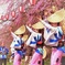 仙台の桜と阿波踊り