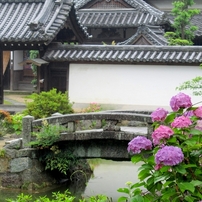 梅雨の和な風景。