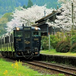 JR肥薩線嘉例川駅の春2